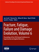 Alison M. Beese, Allison M. Beese, Ryan B Berke, Ryan B. Berke, Jay Carroll, Allison M Beese et al... - Fracture, Fatigue, Failure and Damage Evolution, Volume 6