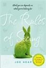 Joe Heap - Rules of Seeing