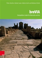 Stefa Friedrich, Peter Jitschin, Günter Laser, Sabine Lösch, Barbara Scholz, Lehrmittelverlag Zürich... - breVIA - Kompaktkurs Latein für Oberstufe und Uni