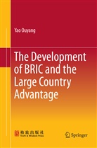 Yao Ouyang - The Development of BRIC and the Large Country Advantage
