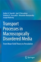 Igor Bezsudnov, Igor V Bezsudnov, Igor V. Bezsudnov, Joseph Malinsky, Alexander Morozovskiy, Vl Sevryukov... - Transport Processes in Macroscopically Disordered Media