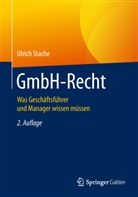 Ulrich Stache - GmbH-Recht