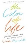 Cara Meredith - The Color of Life