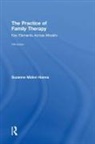 Suzanne Midori Hanna, Suzanne Midori (Private Practice Hanna, Hanna Suzanne Midori - Practice of Family Therapy