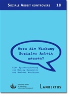 Monika Burmester, Norbert Wohlfahrt, Deutscher Verein für öffentliche und private Fürsorge e.V., Lamber, Lambertus-Verlag, Deutsche Verein für öffentliche und priva - Wozu die Wirkung Sozialer Arbeit messen?