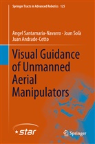 Andrade-Cetto, Juan Andrade-Cetto, Ange Santamaria-Navarro, Angel Santamaria-Navarro, Joa Solà, Joan Solà - Visual Guidance of Unmanned Aerial Manipulators