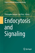 Christoph Lamaze, Christophe Lamaze, PRIOR, Prior, Ian Prior - Endocytosis and Signaling