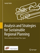 Juanjo Galan - Analysis and Strategies for Sustainable Regional Planning