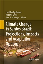 José A Marengo, Robert Greco, Roberto Greco, Jose A Marengo, José A. Marengo, Lucí Hidalgo Nunes - Climate Change in Santos Brazil: Projections, Impacts and Adaptation Options