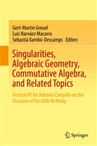 Gert-Martin Greuel, Luis Narvaez Macarro, Lui Narváez Macarro, Luis Narváez Macarro, Sebastià Xambó-Descamps - Singularities, Algebraic Geometry, Commutative Algebra, and Related Topics