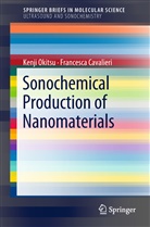 Muthupandian Ashokkumar, Sukhvir Kaur Bhangu, Francesca Cavalieri, Enrico Colombo, Kenj Okitsu, Kenji Okitsu - Sonochemical Production of Nanomaterials
