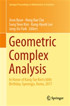 Jisoo Byun, Hong Rae Cho, Sung Yeon Kim, Kang-Hyurk Lee, Jong-Do Park, Hon Rae Cho... - Geometric Complex Analysis