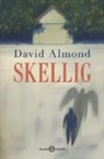 David Almond - Skellig