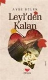 Ayse Dülek - Leylden Kalan
