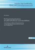 Peter Schaub - Die Kapitalschutzfunktion des Jahresabschlusses nach dem BilMoG