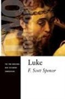 F Scott Spencer, F. Scott Spencer - Luke