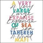 Tahereh Mafi, Priya Ayyar - A Very Large Expanse of Sea (Livre audio)