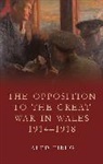 John Doe, Aled Eirug - Opposition to the Great War in Wales 1914-1918