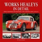 Graham Robson - Works Healeys In Detail