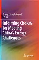 Angel Amorelli, Angelo Amorelli, Zhen Li, Zheng Li, Pei Liu - Informing Choices for Meeting China's Energy Challenges