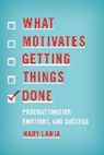 Mary Lamia, Lamia Mary - What Motivates Getting Things Done
