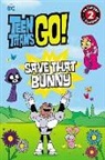Dc Comics, Jonathan Evans - Teen Titans Go! Save That Bunny