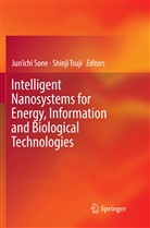 Jun’ichi Sone, Jun'ich Sone, Junichi Sone, Jun'ichi Sone, Tsuji, Tsuji... - Intelligent Nanosystems for Energy, Information and Biological Technologies