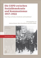 Andreas Braune, Mari Hesselbarth, Mario Hesselbarth, Stefan Müller - Die USPD zwischen Sozialdemokratie und Kommunismus 1917-1922