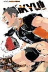 Haruichi Furudate, Haruichi Furudate - Haikyu vol 30