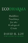 David Loy - Ecodharma