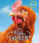 Camilla De la Bedoyere - Lifecycles: Egg to Chicken