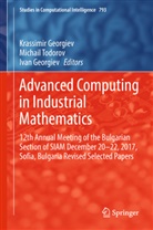 Ivan Georgiev, Krassimir Georgiev, Michai Todorov, Michail Todorov - Advanced Computing in Industrial Mathematics