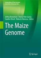 Jeffrey Bennetzen, Sherr Flint-Garcia, Sherry Flint-Garcia, Candice Hirsch, Candice Hirsch et al, Roberto Tuberosa - The Maize Genome
