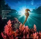 Gesellschaft Deutscher Tierfotografen e.V. - Europäischer Naturfotograf des Jahres und Fritz Pölking Preis 2018