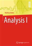Matthias Hieber - Analysis I