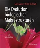 Geor Glaeser, Georg Glaeser, Werner Nachtigall - Die Evolution biologischer Makrostrukturen