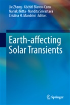 Xóchit Blanco-Cano, Xóchitl Blanco-Cano, Cristina H. Mandrini, Nariaki Nitta, Nariaki Nitta et al, Nandita Srivastava... - Earth-affecting Solar Transients