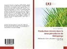 Heriniaina Ramahefarison - Production rizicole dans la zone périurbaine de Mahajanga