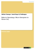 Janel Kaye Q Pediangco, Janel Kaye Q. Pediangco, Adria Tamayo, Adrian Tamayo - Risks in Operating a Micro Enterprise in Davao City