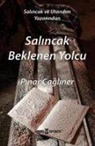 Pinar cagliner - Salincak Beklenen Yolcu