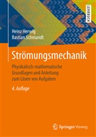 Hein Herwig, Heinz Herwig, Bastian Schmandt - Strömungsmechanik