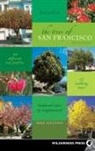 Michael Sullivan - Trees of San Francisco