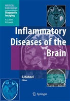 Stefan Hähnel - Inflammatory Diseases of the Brain