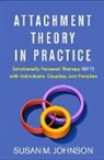 Susan M. Johnson - Attachment Theory in Practice