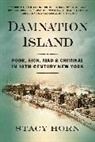 Stacy Horn, Horn Stacy - Damnation Island