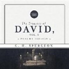 Charles Haddon Spurgeon, Bob Souer - The Treasury of David, Vol. 5: Psalms 120-150 (Audio book)