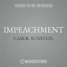 Cass R. Sunstein, Joe Barrett - Impeachment: A Citizen's Guide (Audio book)