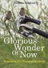 Nicholas Bingham - The Glorious Wonder of Now; Poems in the Present Moment