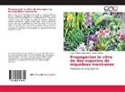 Carlos Albert López Pérez, Carlos Alberto López Pérez, Monica Rangel - Propagacion in vitro de dos especies de orquídeas mexicanas