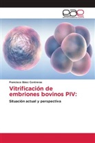 Francisco Báez Contreras - Vitrificación de embriones bovinos PIV: